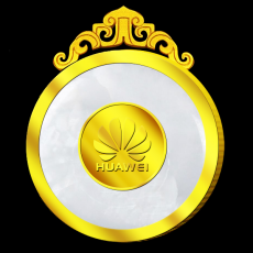 华为金镶玉奖牌纪念币
