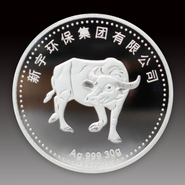 新宇环保集团有限公司